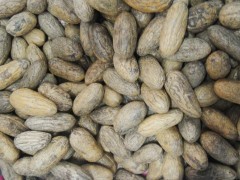 臺(tái)州千眼菩提子一手貨源、地?cái)偖a(chǎn)品、熱銷產(chǎn)品包郵