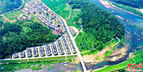 浙江臺州 美麗鄉村綠蔭環繞