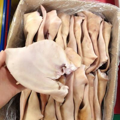 浙江臺州溫嶺市新鮮豬耳朵批發(fā) 價格實(shí)惠，品質(zhì)保證